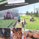 Harvesting Success: NPowerFarmers' Year in Review and Outlook for 2024