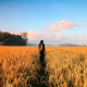 woman in black hijab headscarf walking on field