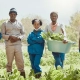 Sustainable Agriculture Practices: Driving Collaboration for Future Growth