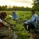 modern farming