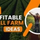 Fresh Ideas for Innovative Farming in Nigeria