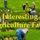 How to Farm Series: Fascinating Facts About Farming