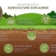 How to Implement Regenerative Agriculture for Sustainable Farming