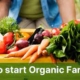 How to Start Organic Farming: A Comprehensive Guide