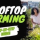 How to Start Your Own Urban Farm: A Step-by-Step Guide