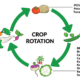 Farm Profitability, Crop Rotation, Sustainable Farming, Soil Health, Agricultural Practices