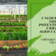 Urban Farming, Sustainable Agriculture, Food Security, Urban Agriculture