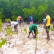 How to Farm Successfully During the Dry Season