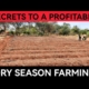 How to Succeed in Dry Season Farming Essential Tips for Farmers