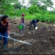 How to Plant Successfully During the Dry Season in Nigeria