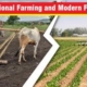 What is Modern Agriculture? Understanding New Farming Techniques