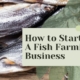 How to Start Fish Farming Business for Profit