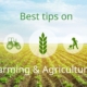 Tips for a Successful Farming Month in October + Happy New Month to Our Farmers!