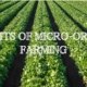 How to Get Started with Small-Scale Organic Farming