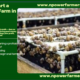 🐌 How to Start a Profitable Snail Farm in Nigeria