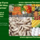 How to Price Your Farm Produce Correctly in Nigeria: Smart Farmer’s Guide