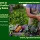 🌱 Best Crops to Farm in Nigeria for Quick Profits