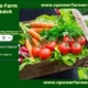 Top 7 Crops to Farm in Nigeria for Quick Profits