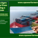 Start Agro Export from the UK/US Using a Nigerian Partner – Diaspora Guide