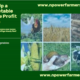 Start a Backyard Vegetable Garden in Nigeria and Make Profit – Simple Guide