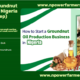 Start Groundnut Oil Production Business in Nigeria – Full Guide for Beginners