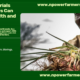 10 Raw Materials African Farmers Can Harvest for Export and Industry