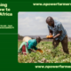 Foreign Farming Secrets and How to Utilize Them in Africa