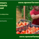 How African Farmers Can Compete Globally with Their Food Products