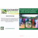 International Youth Day 2026: From Farmgate Labors to Agribusiness CEOs – How Npower Farmers Powers Next-Gen Agripreneurs