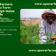 How Nigerian Farmers Can Turn Raw Farm Produce Into High-Value Products